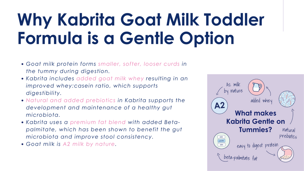 Why Kabrita goat milk toddler formula is a gentle option