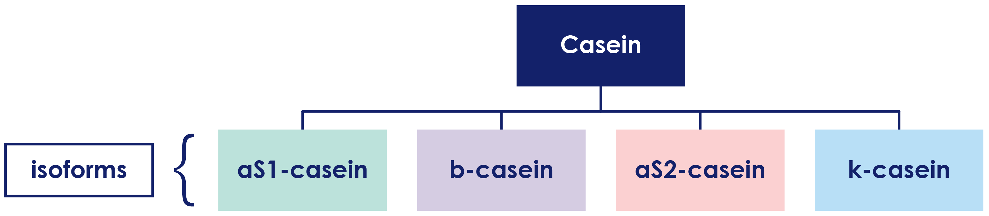 Casein composition chart