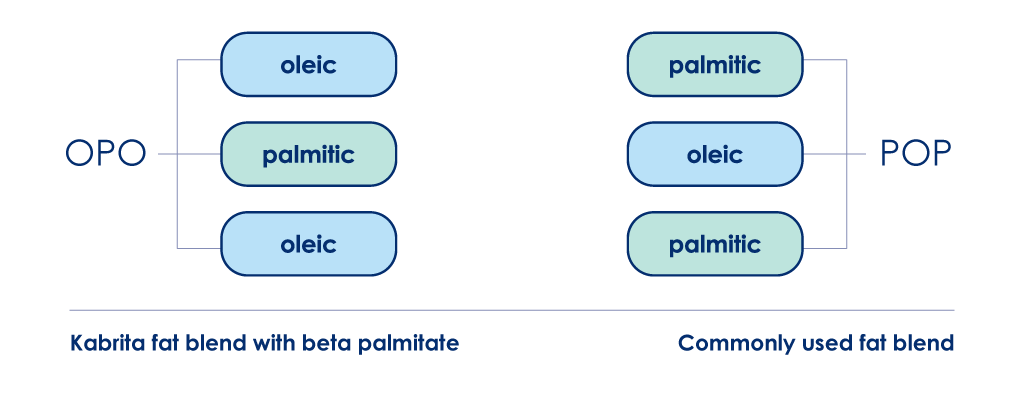 Kabrita's fat blend with beta palmitate vs commonly used fat blend