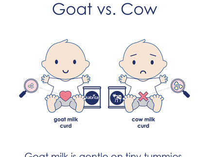 Goat Milk vs Cow Milk Digestion: How Long Does it Take to Digest Milk?