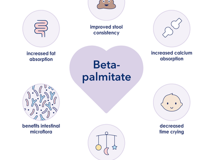 Is Baby Formula Without Palm Oil the Best Choice for Your Baby?