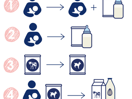 4 Common Feeding Transitions