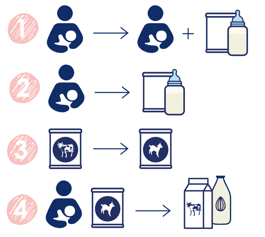 4 Common Feeding Transitions