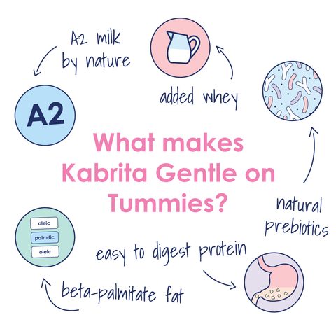 Features that make Kabrita a gentle option include: A2, added whey, prebiotics, easy to digest protein and beta-palmitate